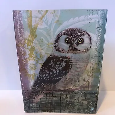 Buy Art Glass Fringe Studio Owl Floral Square Vase • 49.26£