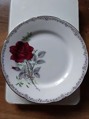 Buy Vintage Royal Stafford Bone China Side Plate ROSES TO REMEMBER • 3.99£