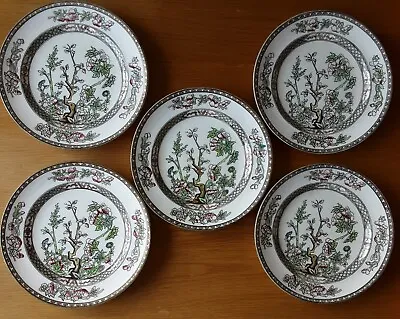 Buy Antique Set Of 5 Coalport Indian Tree Design Salad Side Plates 22cm (8.5 )  Used • 13£