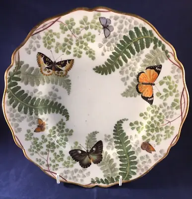 Buy Antique Copeland Butterflies & Foliage Pattern Display Plate Dessert Plate C1870 • 49.99£