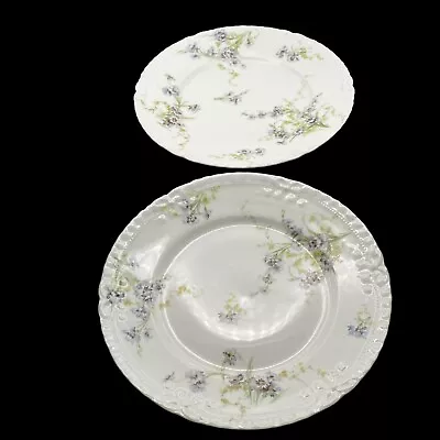 Buy Pair Of 2 Haviland Limoges Sage Rose Lavender 10.5  Dinner Plates France Floral • 19.29£