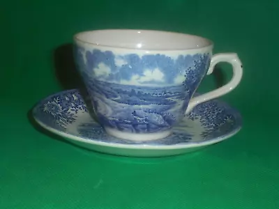 Buy English Village Pattern Blue & White Cup & Saucer Salem China Olde Staffordshire • 4.99£