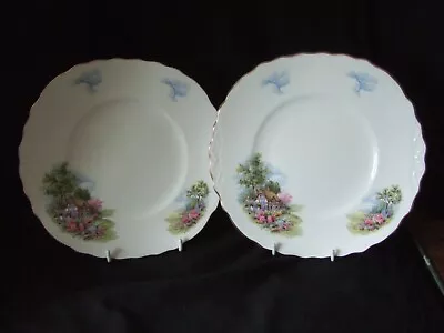 Buy VINTAGE ROYAL VALE BONE CHINA COUNTRY COTTAGE GARDEN CAKE BREAD BUTTER PLATE X 2 • 8.99£