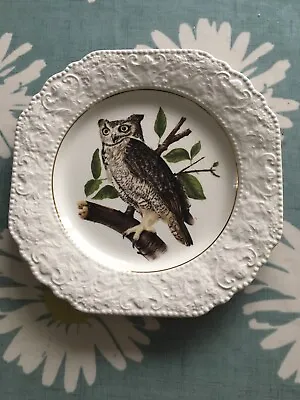 Buy Lord Nelson Pottery Owl Plate B • 12£