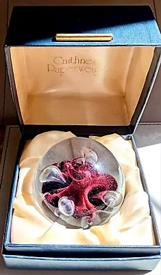 Buy Caithness Paperweight Moonflower With Box + Spare Box With Sagittarius Cert. • 3.99£