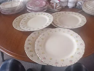 Buy 6 X Pottery Ridgways Hand Painted Bedford Ware - Dainty Floral. Dinner Plates • 75£