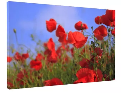 Buy Stunning Poppy Field Flower Meadow Canvas Picture Wall Art • 76.69£