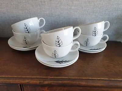 Buy Royal Doulton Leaves Cafe. Set Of 6 Cappuccino Cups And Saucers  • 35£