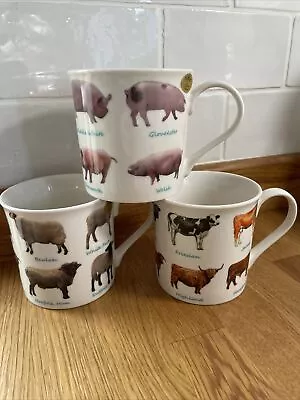 Buy Animal Breeds Mugs, Bone China, Cow, Pig, Sheep, Farm Gifts • 8.99£