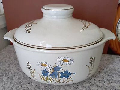 Buy Royal Doulton Lambethware  Hill Top  Vegetable Dish Oval Lidded • 2.49£