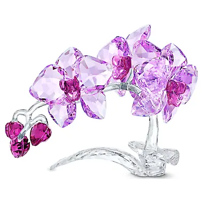 Buy Swarovski Crystal Paradise Flowers  Stunning “orchid” 5520373 Bnib Free Post • 440£