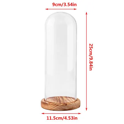 Buy Glass Display Cloche Bell Jar Dome With Wooden Base Decorative Desk Vintage UK • 5.99£