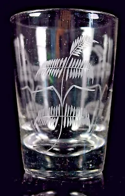 Buy Victorian Glass Tumbler Etched Fern Pattern Circa 1880 • 45£