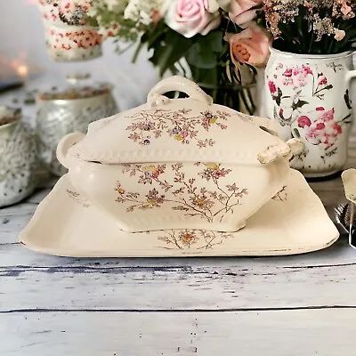 Buy Antique John Maddock & Sons Serving Tureen And Platter Floral Pattern China Dish • 38.88£