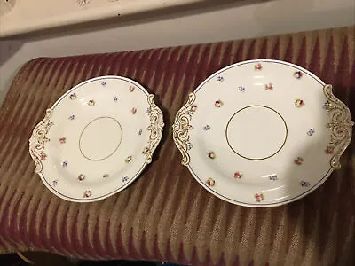 Buy Pair Beautifully Painted Victorian Floral Copeland Cake Plates 1850-90 Excellent • 33£