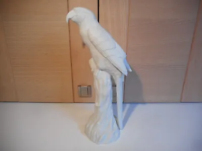 Buy John Beswick White Bisque Porcelain Parrot On Branch Large Figurine JBWB1  • 25£