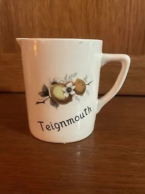 Buy New Devon Pottery Newton Abbot Teignmouth Miniature Jug • 3£