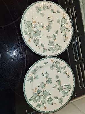 Buy Bhs  Country Vine  Dessert/Salad Plates X2. Good Used Condition • 10.99£