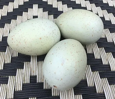 Buy 3 Vintage Ceramic Decoy Dummy Speckled Eggs , Encouraging, Laying Chickens • 9.99£