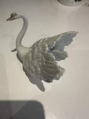 Buy Lladro Swan Figurine • 6£