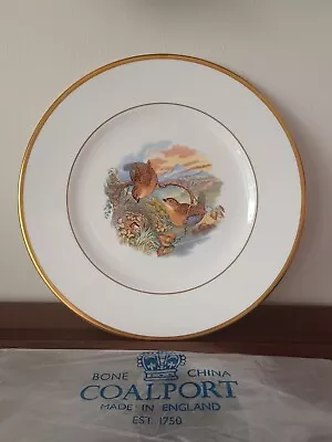 Buy Coalport A Pair Of Wrens Large Collectors Plate • 7£