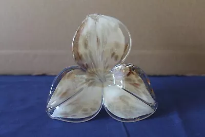 Buy Stylish Rare Design Decorative Glass  Flower  Ornament Shades Of Brown Petals • 22£
