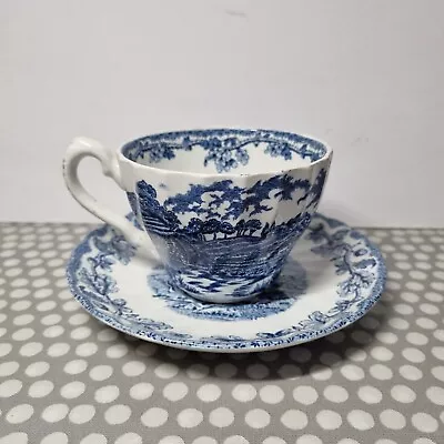 Buy Myott's Country Life Fine Staffordshire Ware Blue Cup And Saucer • 6£
