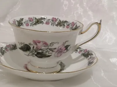 Buy Royal Albert ' Cotswold' Vintage Cup And Saucer Duo. • 18£