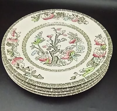 Buy Johnson Bros Indian Tree Side Plate X 4 Ceramic Cream 18cm • 17.49£