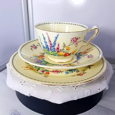 Buy Crown Staffordshire Tea Trio Cup Saucer Plate Flower Garden Design Early 1900s • 15£