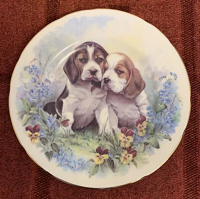 Buy John Owen Of Exeter Bone China Beagle Puppies Decorative Plate 17cm • 3.50£