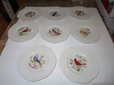 Buy Set Of 8-royal Cauldon-bristol Ironstone-bird Plates-england-gorgeous • 77.21£