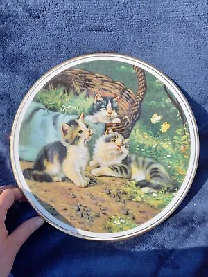 Buy Fenton China  Playful Moments  , Dreaming.  Delightful Kitten Scenes. Collectors • 9.99£