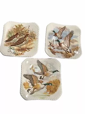 Buy Set Of 3 Vintage Royal Adderley Game Birds Bone China 4”  Square Plate • 19.21£