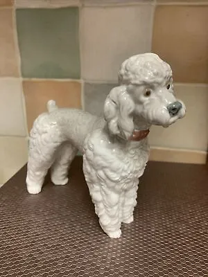 Buy Lladro 1259 Woolly Dog, Poodle! Mint Condition! No Box! • 70£