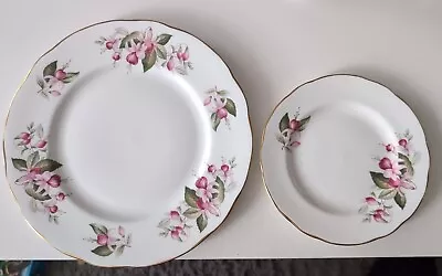 Buy Duchess - Fushia  - Dinner Plate / Side Plate -bone China • 12.99£
