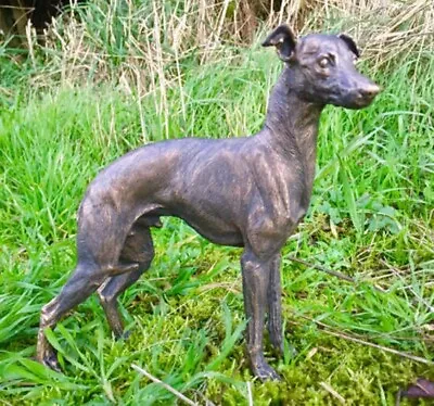 Buy Greyhound Dog Statue Ornament Figurine Cold Cast Bronze. • 25£
