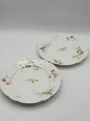 Buy Haviland And Company Floral Limoges Plate Set Of 2 The St Lazare Scalloped Edges • 59.71£