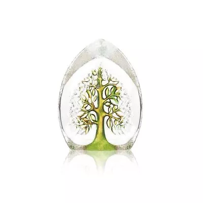 Buy MATS JONASSON Tree Of Life Medium Green Swedish Art Glass Signature Edition 5.5  • 129.95£