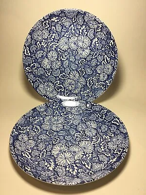 Buy Two Blue Staffordshire Royal Tudor Ware Georgia Plates W.N. Mellor 26cms. • 28£
