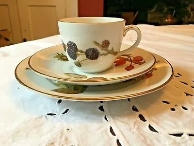Buy Royal Worcester Wild Harvest - Large Trio - Cup, Saucer, Plate • 12£