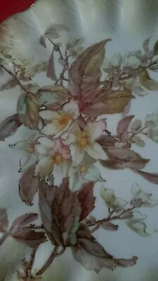 Buy Antique Porcelain  Doulton Burslem Plate 1885 Artist Initials Handpainted Floral • 46.10£