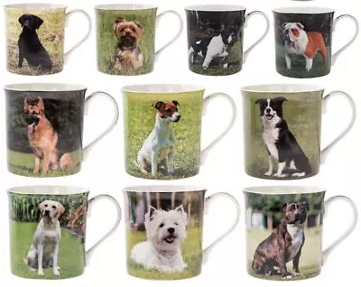 Buy Leonardo Dog Breeds Fine China Coffee Mugs Tea Cup Puppy Pets Animals Gift Boxed • 6.98£