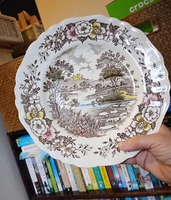 Buy Decorative English Staffordshire Country Life Design J&G Meakin Plate • 1.50£