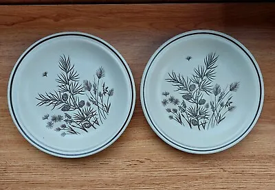 Buy Pinewood By W.H. Grindley Plates Saucers Vintage Retro Dining Ware 17 Cm • 6.49£