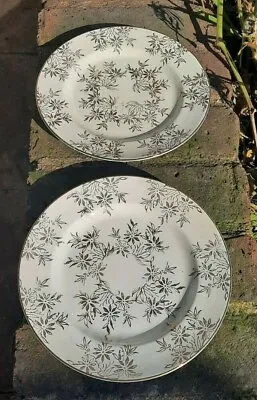 Buy 2 Victoria Pottery Fenton Side Plates Cream With Gold Plant Pattern 18cm(AC003) • 5£