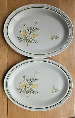 Buy 2  Royal Doulton Will O'the Wisp Oval Platters. 1977 • 10£