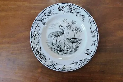 Buy Indus Aesthetic Movement Black Transferware Plate Birds Herons Ridgway 1877 • 40.37£