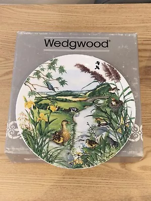 Buy Vintage Wedgewood Plate 1987 The Meandering Stream Colin Newman Beautiful Plate • 9.99£