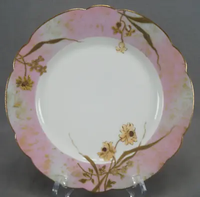 Buy Gutherz Limoges Yellow Flowers Raised Gold & Pink 8 1/2 Inch Plate Circa 1890s • 62.34£